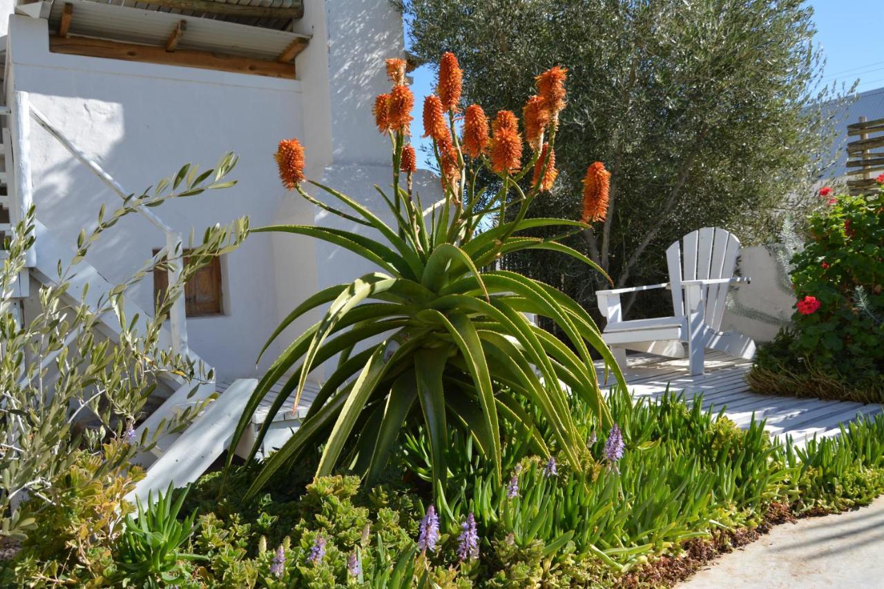 Ta Mala'S Cottage Prince Albert Exterior photo