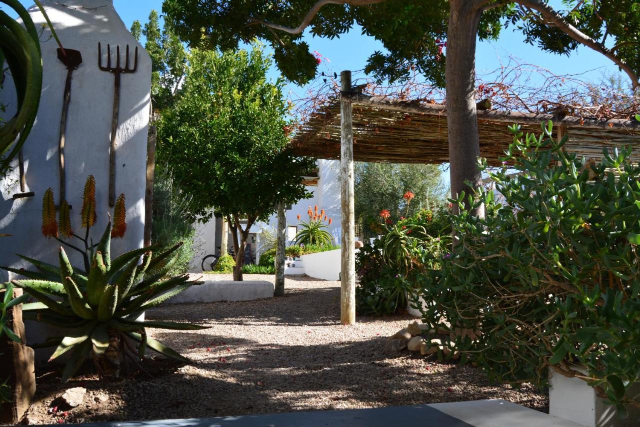 Ta Mala'S Cottage Prince Albert Exterior photo